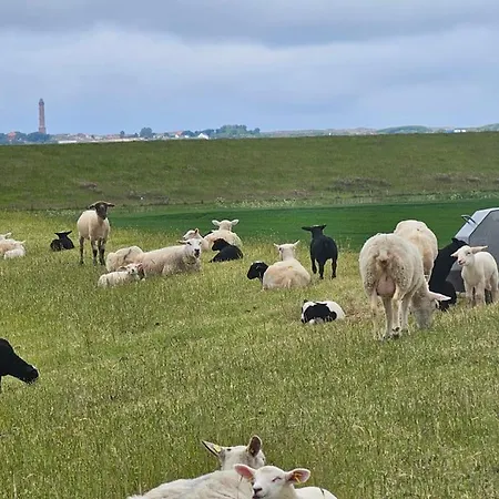Huus Merle Booven Neßmersiel