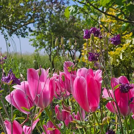 Lejlighed Huus Merle Booven