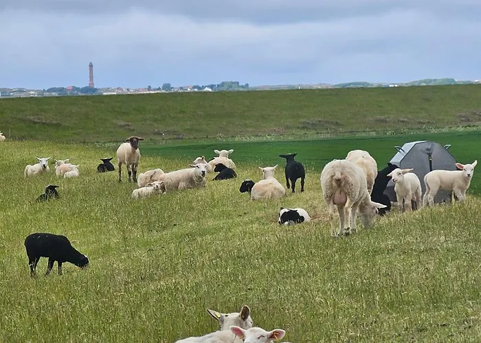 Huus Merle Booven Neßmersiel
